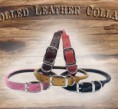 /album/photogallery/dogcollars2-jpg1/